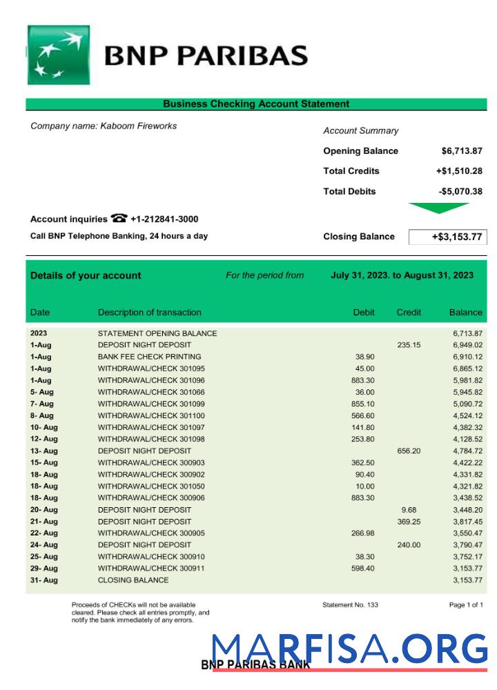 Printable Bank BNP Paribas company statement Word and PDF template